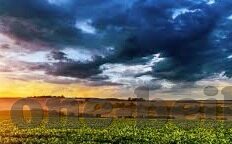 澳门威尼斯人赌场接待-澳门威尼斯人赌场的接待艺术，细节中的奢华与尊重