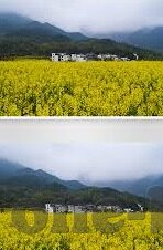 日职乙足球比分-日职乙风云变幻,比分背后的战术博弈与球队沉浮