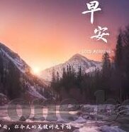 世界杯白加蓝-世界杯白加蓝,色彩背后的激情与梦想